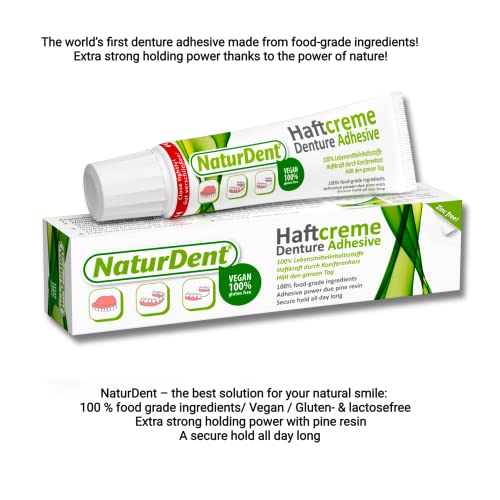 Naturdent lepak za čišćenje proteze i stolice za čišćenje proteze paketi sa dentu-care Case i četkom za protetu | Starter Kit | Idealni