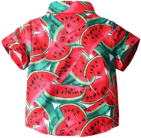 QZH.DUAO Little & amp; Big Boy Hawaiian Shirts kratki rukav zabava Print dugme down Dress Shirt Tops za djecu, 9 mjeseci - 15 godina