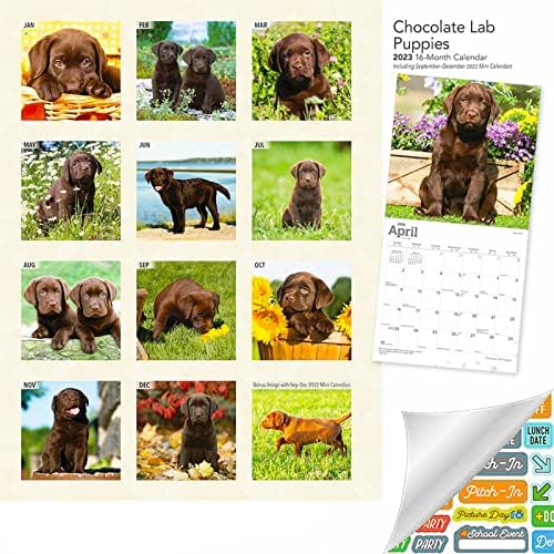 Čokoladni laboratoriji Calendar 2023 - Deluxe 2023 Čokoladni laboratorijski paket za zidni kalendar sa preko 100 naljepnica kalendara