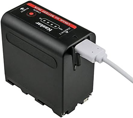 Kastar 2-Pack NP-F980exp baterija i LTD2 USB punjač kompatibilan sa CCD-TRV300 CCD-TRV3000 CCD-TRV315 CCD-TRV35 CCD-TRV36 CCD-TRV37