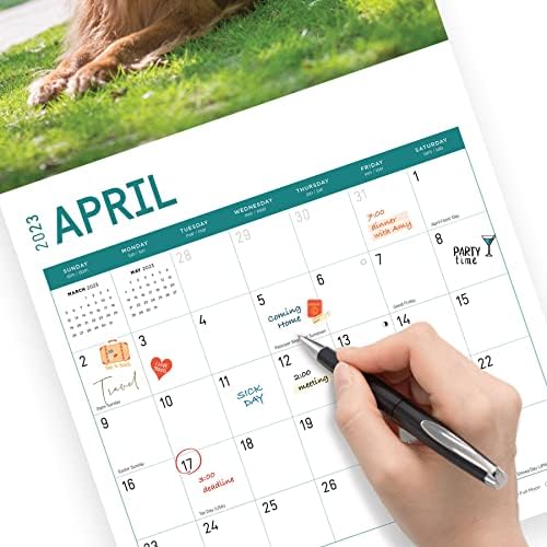 2023 Zlatni retriveri zidni kalendar sa vedrim danom, 12x12 inča, slatka psovka za psovku za kućne ljubimce