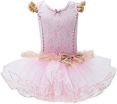 Lmyove Little Girls 'Leotards Balet Dance Tutu haljina, balerina Kostimi za djecu