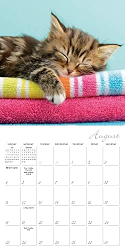 CAT NAPS 2024 Mini kalendar, 7 x 7
