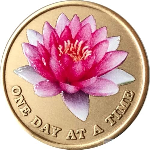 Pink Lotus Flower One Day At A Time Serenity Prayer Medaljon Chip