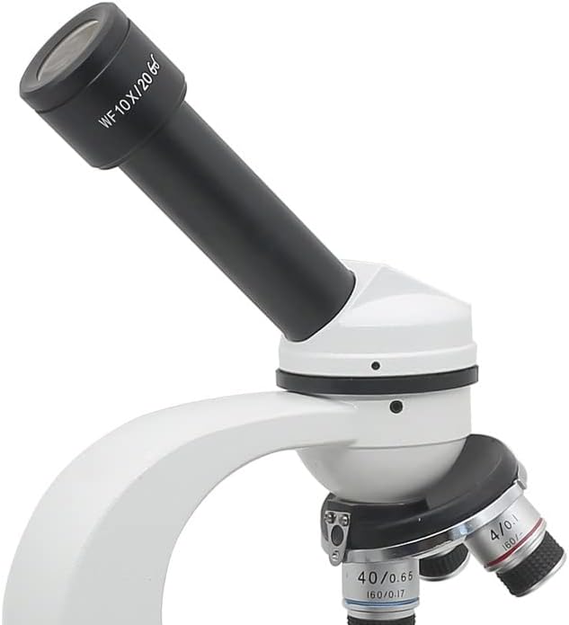 Oprema za mikroskop WF10X mikroskop sa visokom tačkom oka polje View 20mm okular Montaža 23.2 mm W/končanica Scale Lab potrošni materijal