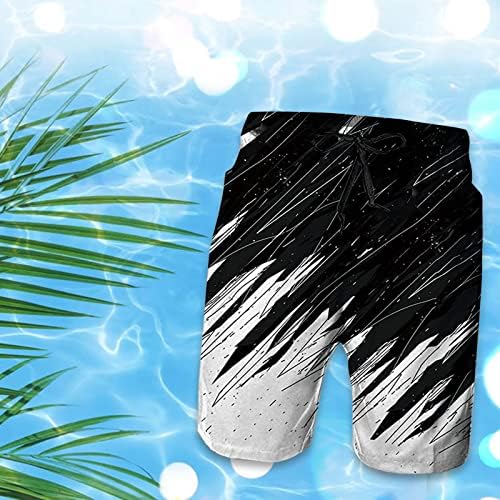 Plus size plaže kratke hlače za muškarce Grafički print Havajska odjeća na plasku kupaćim prtljažnima Mesh obloge Cool Vintage Place