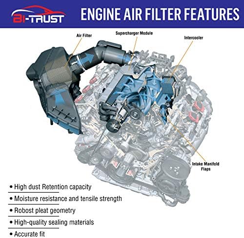 Bi-Trust CA10755 filter zraka motora, zamjena za Jeep Grand Cherokee 2011-2020 Lexus RX350 2010-2020 Toyota Highlander 2014-2019