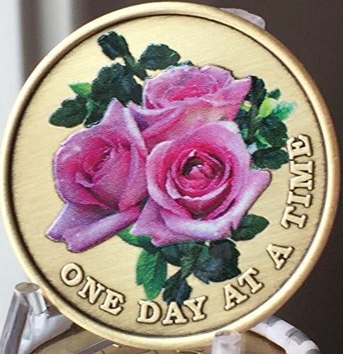 Pink Rose one Day at a Time boja medaljon Serenity molitveni čip