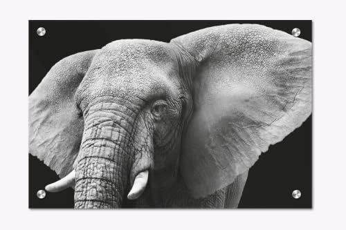Akrilni stakleni okvir Moderni zidni umjetnički slon - životinje u divljini crno-bijeli serija - moderni dizajn enterijera - akrilna