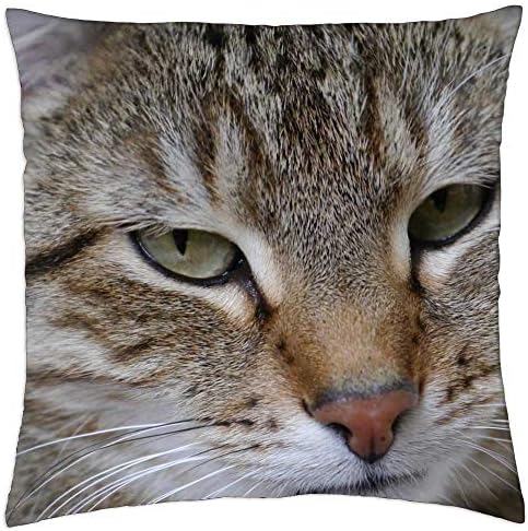 Presvlaka za bacanje lesa - CAT MACKEREL TIGER CAT Domaća mačka Mačke