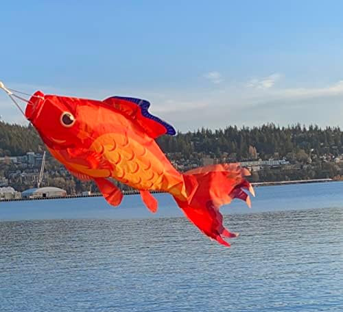 Madrona marke small Splash tropske ribe Windsock | izdržljiva Vanjska viseća dekoracija / paluba | Bašta, pristanište, terasa i još