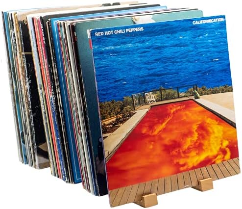 Benny Bass Vinyl Skladištenje - Vinil Držač za rekorder za 65 albuma sa sada reproduciranjem vinil zapisa, LP Nameštaj za skladištenje,