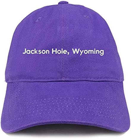 Trendy Prodavnica Odjeće Jackson Hole Wyoming Pamuk Nestrukturirani Tata Šešir
