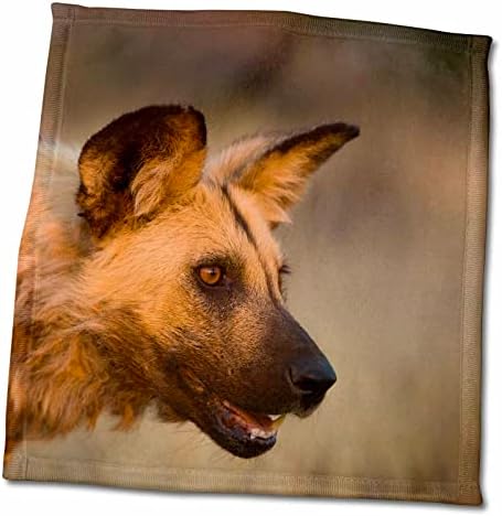 3Droza Danita Delimont - divlji pas - Afrika, Namibija. Divlji pas. - Ručnici