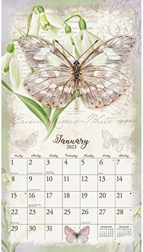 Lang leptiri 2023 Zidni kalendar