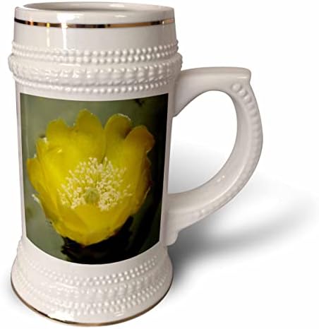 3Droza Žuti kaktus kruški cvijet izbliza fotografija - 22oz Stein šolja