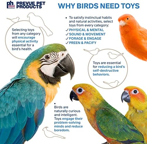 Preuue PET proizvodi Fizička i mentalna vijska kraljica Bird Toy 62545