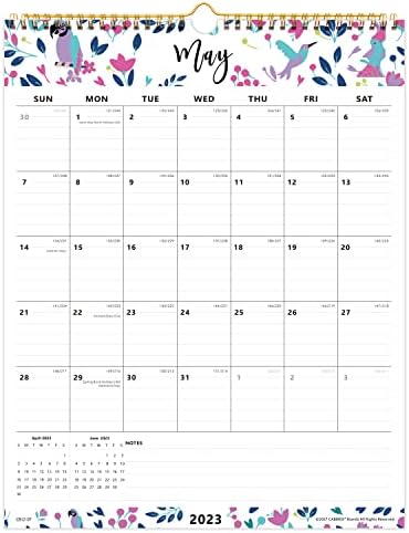 CABBRIX Zidni kalendar 2023, radi od sada do 20. lipnja, savršen za kućnu školovanje i studiju, vladaju blokove, 15 x 12 inča
