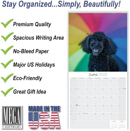 2022 2023 Igrački kalendar - pasmina pas mjesečni zidni kalendar - 12 x 24 otvorena - gusta papir bez krvarenja - Pozicija - Kalendar planera akademskog učitelja Organizovanje i planiranje - izrađeno u SAD-u