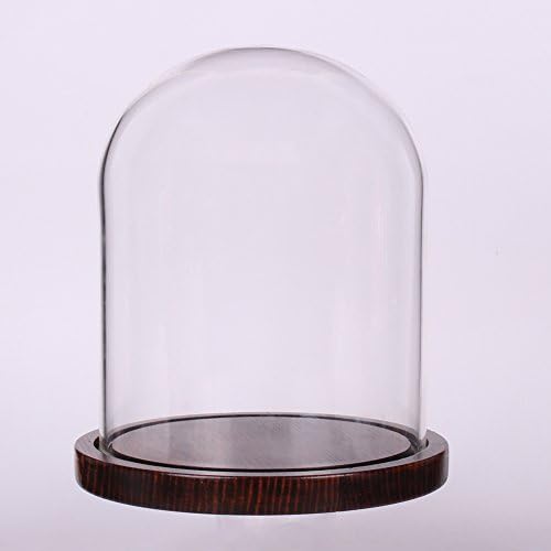 Moonlear Glass Cloche Bell Jar prikaz kupola sa drvenom bazom 5,9 x 7