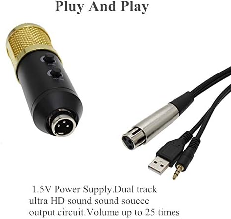 NIZYH mikrofon profesionalni USB kondenzator mikrofon za računarski Studio Karaoke mikrofon za snimanje Video zapisa