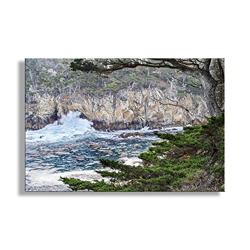 Carmel kalifornijska fotografija okeana u Point Lobosu